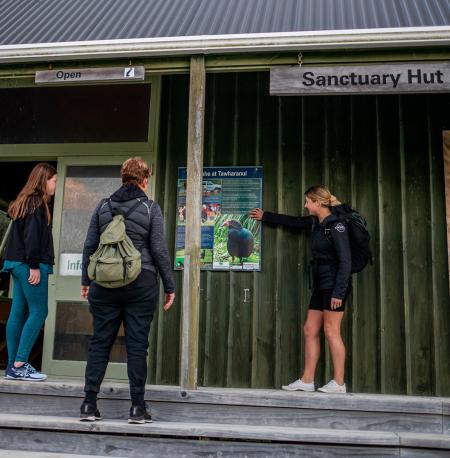 Tawharanui hut INP