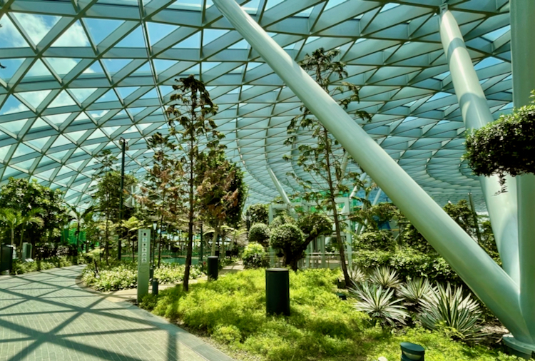 The rooftop gardens at Jewel Singapore