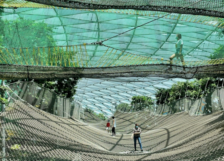 Canopy Park nets at Jewel Singapore.