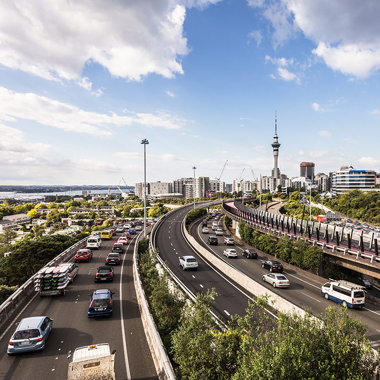 Congestion Auckland INP