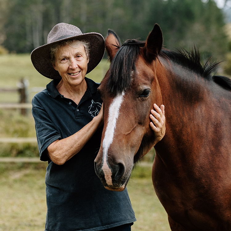 Sue equine therapy bay INP