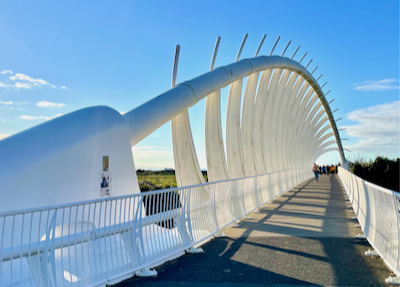 Te Rewa Rewa Bridge INP