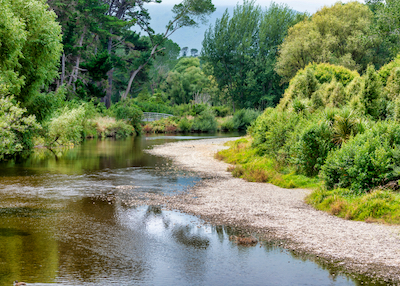 Waikanae river INP