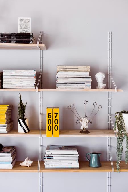 Styled shelves with magazines, books, ornaments and a plant.