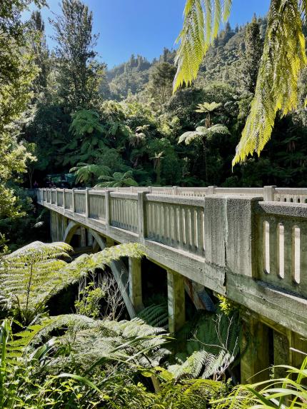 A sunny morning at the famous Bridge to Nowhere, Whanganui National Park. 