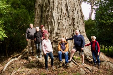 Driftwood Eco Tours group stands at the base of a large tree.