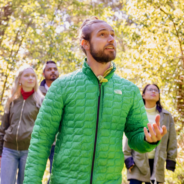 Guide Geoff Handsfield explains the forest bathing experience.