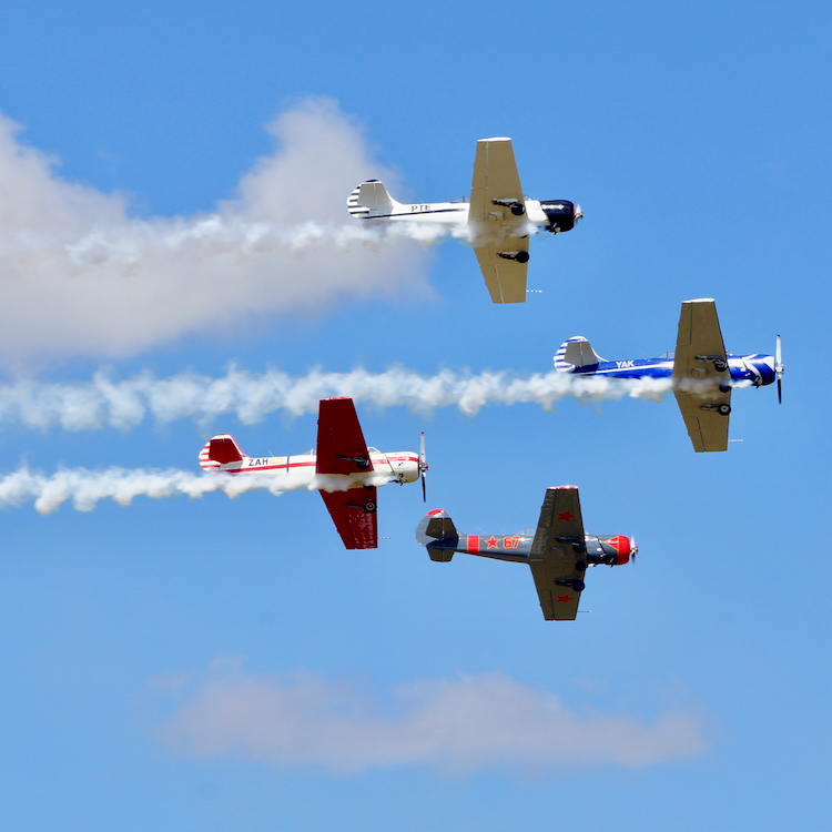 Catch vintage aircraft in action at Wings Over Wairarapa.