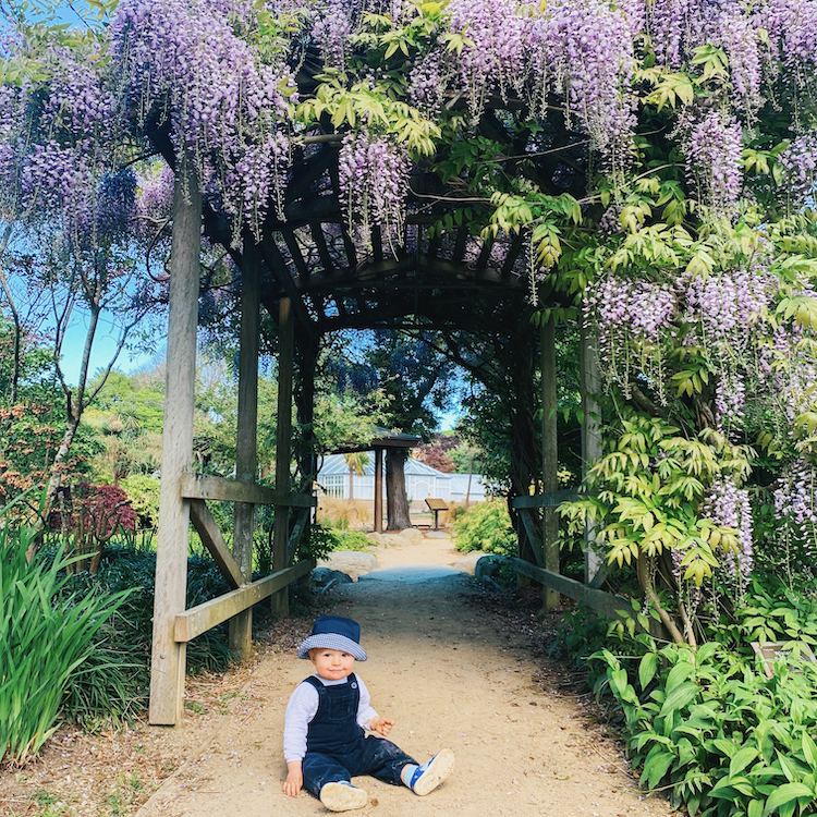The Dunedin Botanic Gardens make a great spot for a family picnic. 