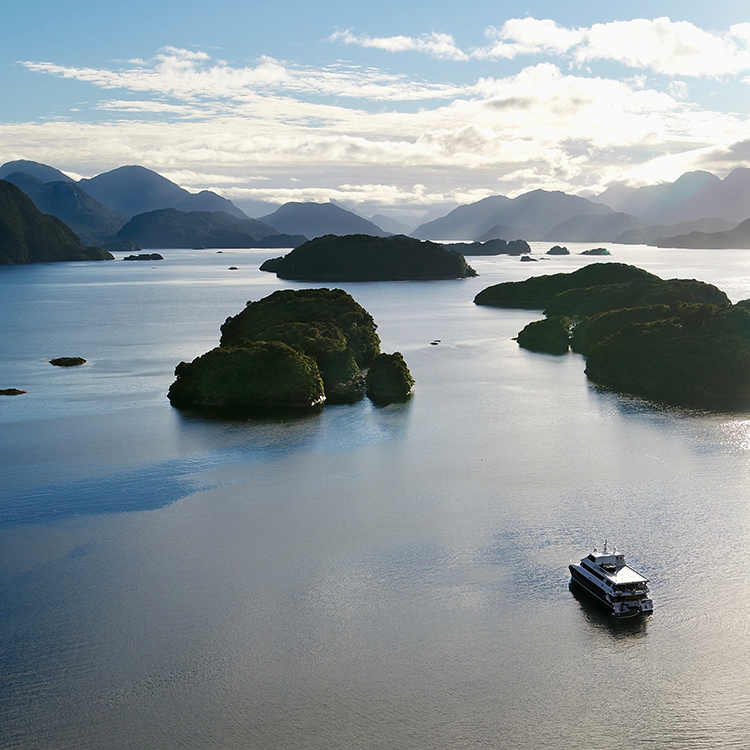 Fiordland cruise aerial INP