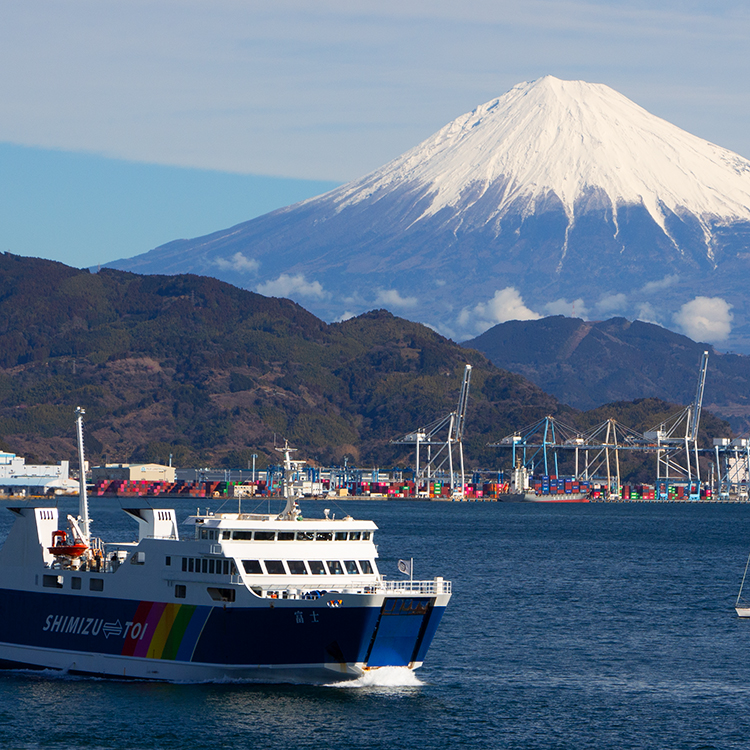 Hong Kong cruise Mt Fuji INP