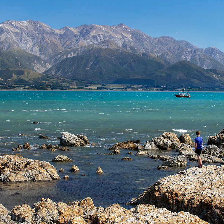 Road trip Kaikoura INP