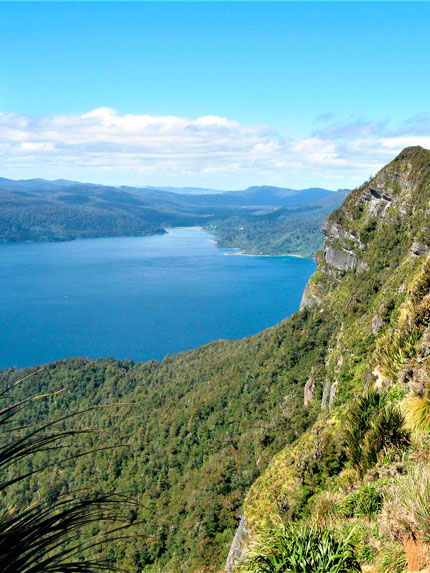 Lake Waikaremoanas Great Walk Aa New Zealand