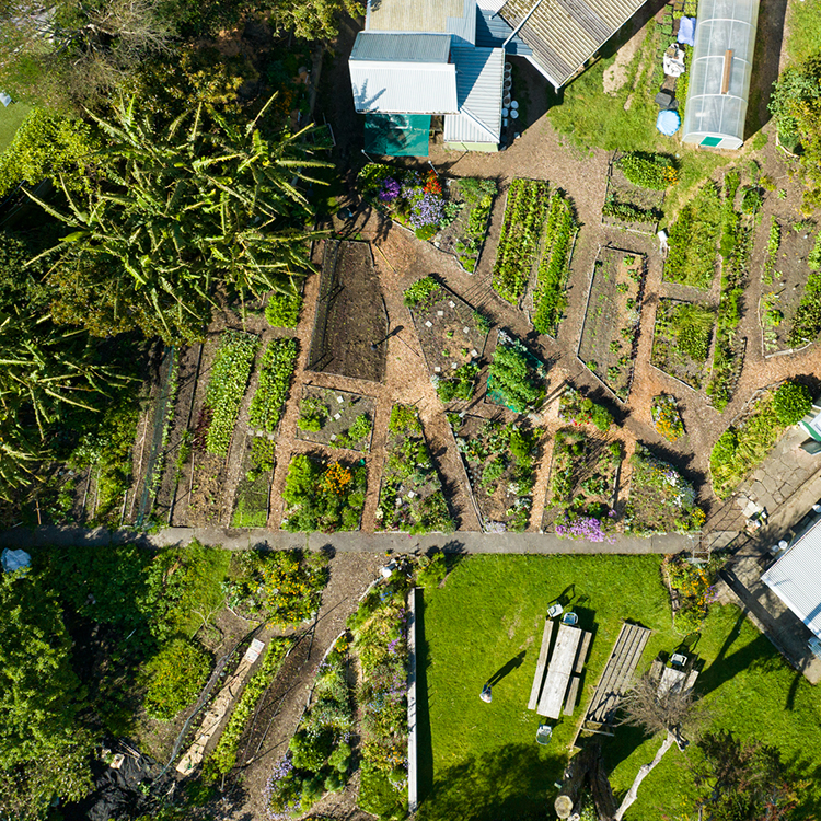 People are surprised to find a thriving farm so close to Auckland's CBD. 