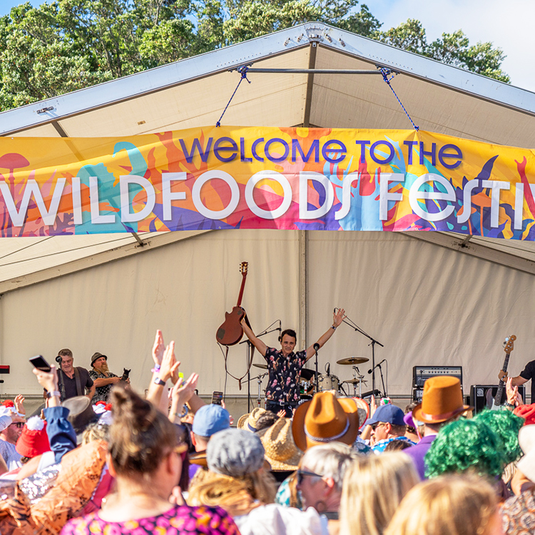 Summer events Wildfoods INP