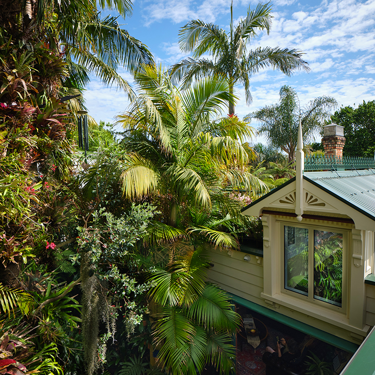 Mark Van Kaathoven's Auckland villa is surrounded by jungle.