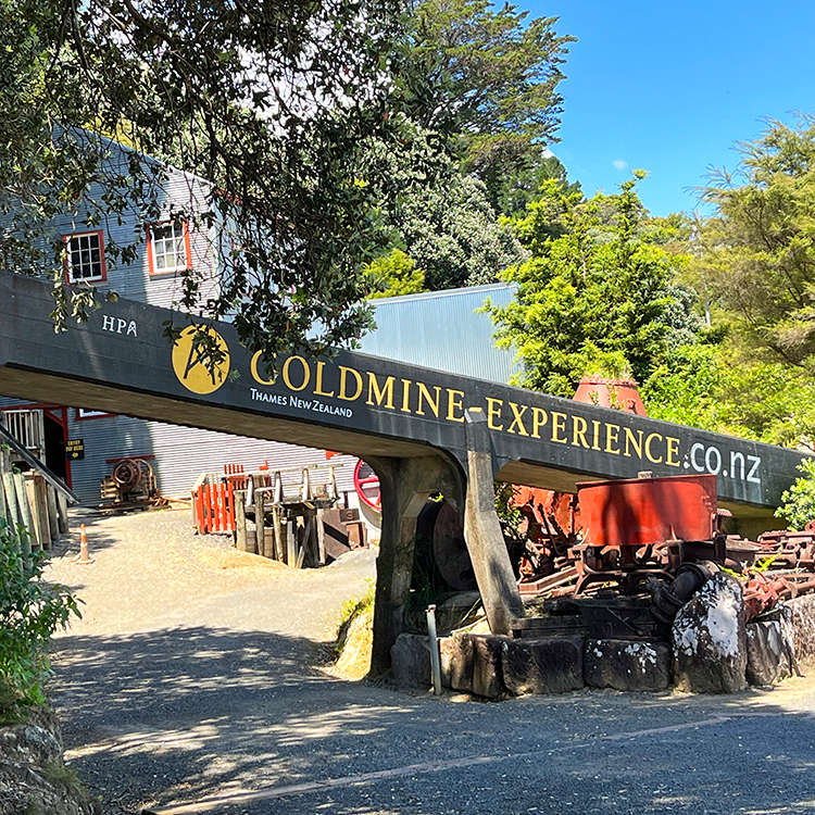 Visit the Thames Goldmine Experience 