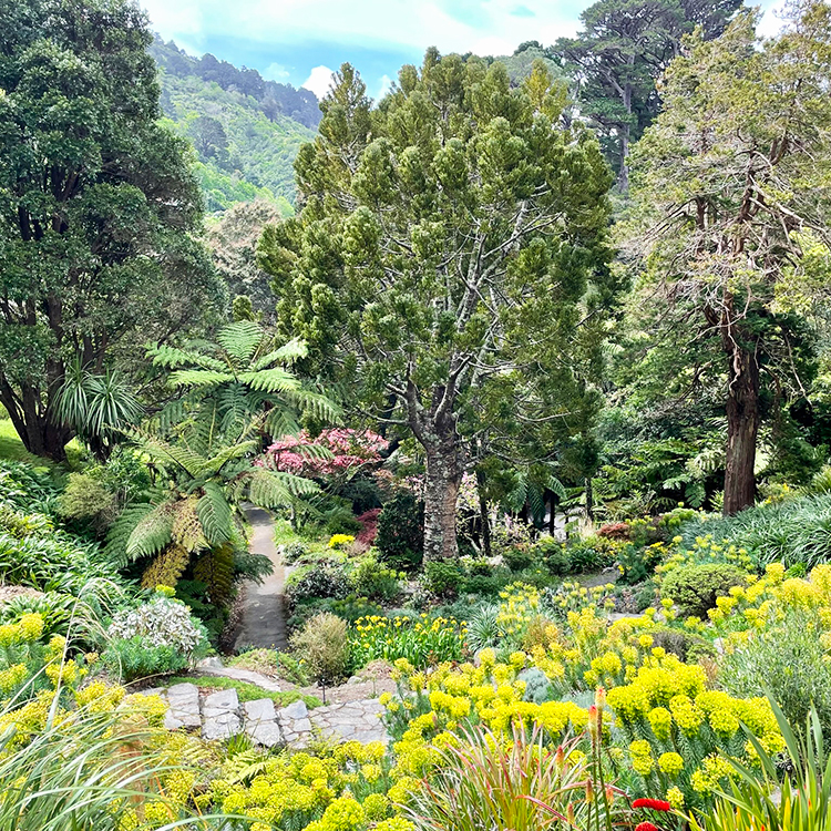 The Wellington Botanic Gardens are steep, but definitely worth a wander. 