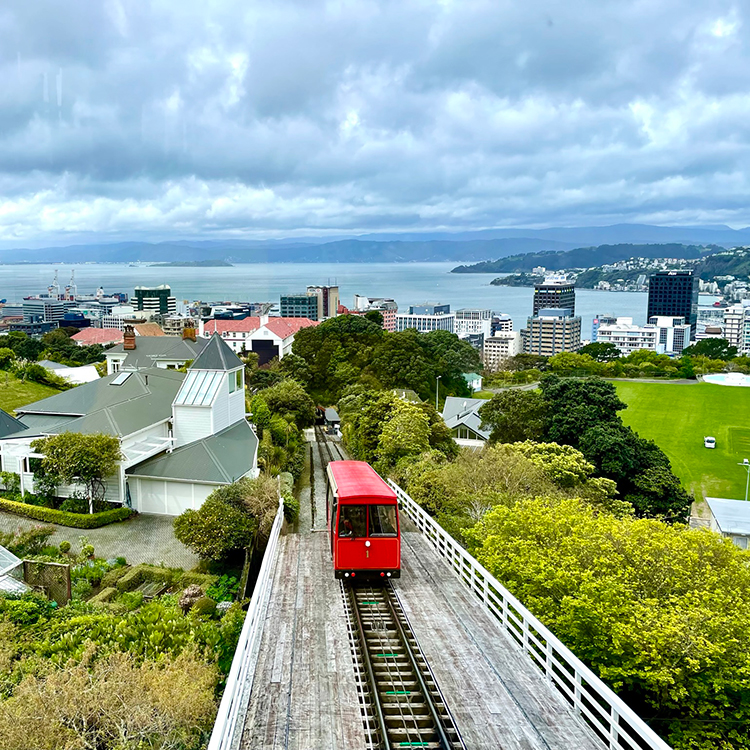 The historic Wellington Cable Car provides access to the steep bits of the city.
