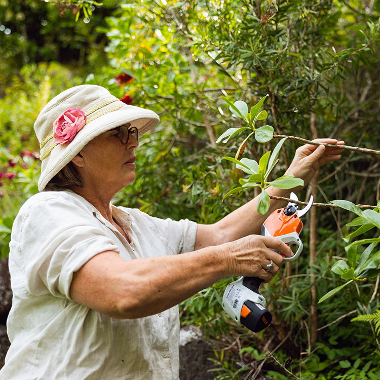 Stihl review INP