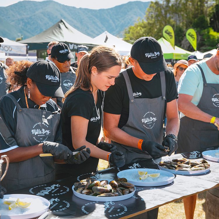 Havelock Mussel Festival