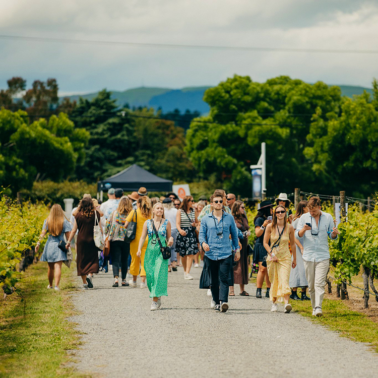 Toast Martinborough