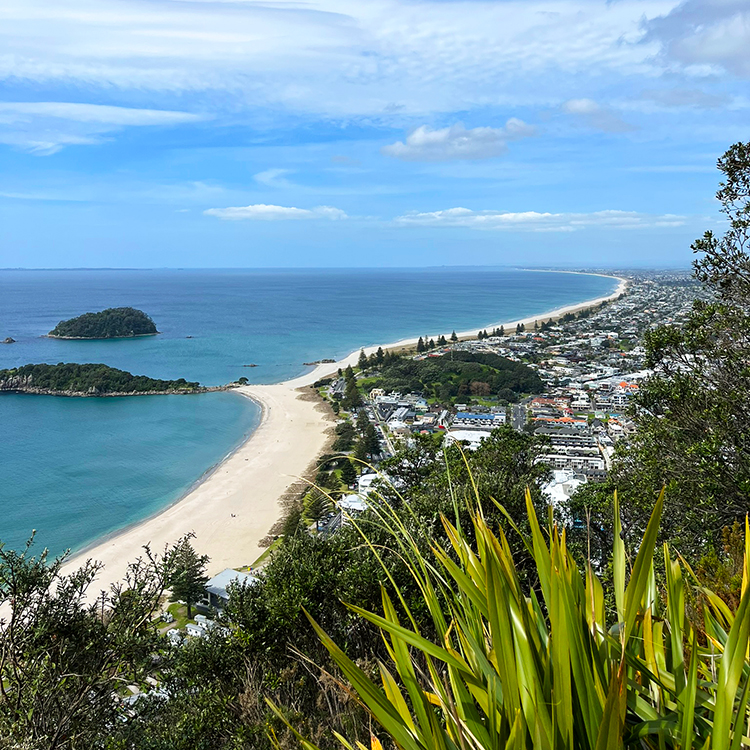 Bay of Plenty Mauao view INP