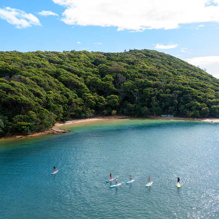 Gold Coast paddleboarding INP