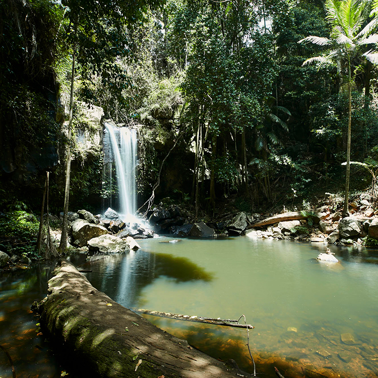 Gold Coast waterfall INP