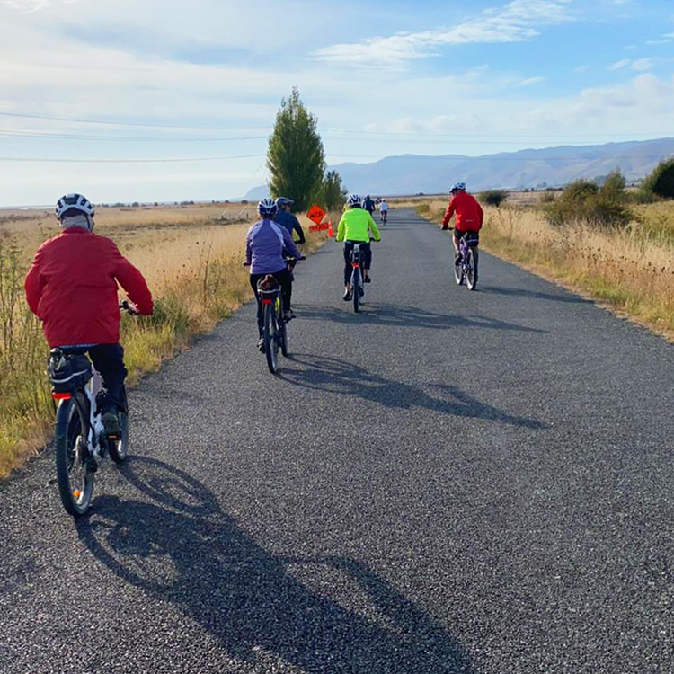 Nelson Cycling Whale Tail Trail INP