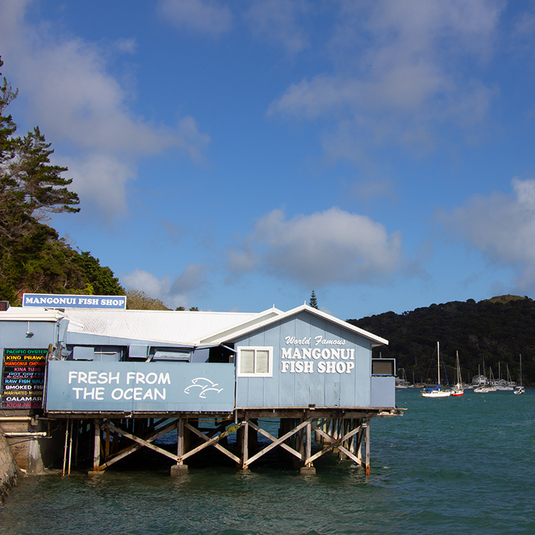 Road Trip Mangonui INP