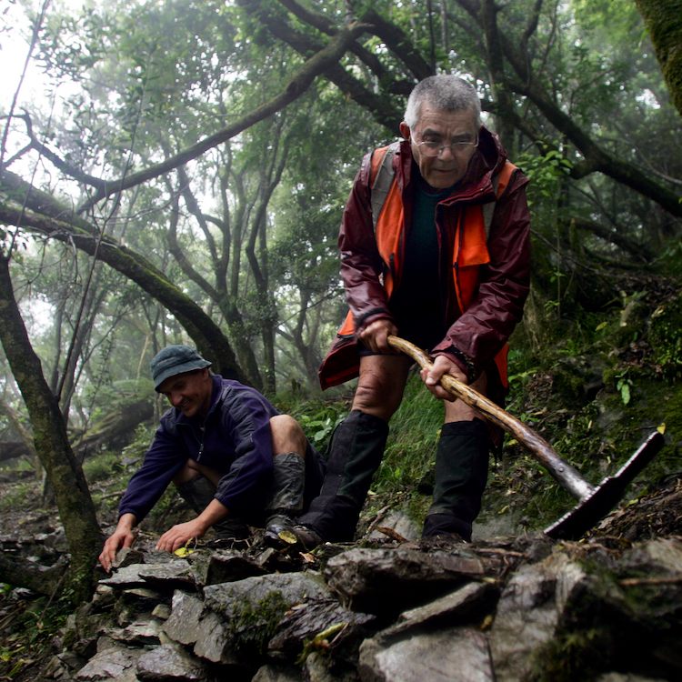 Volunteers have been instrumental to the success of the sanctuary.