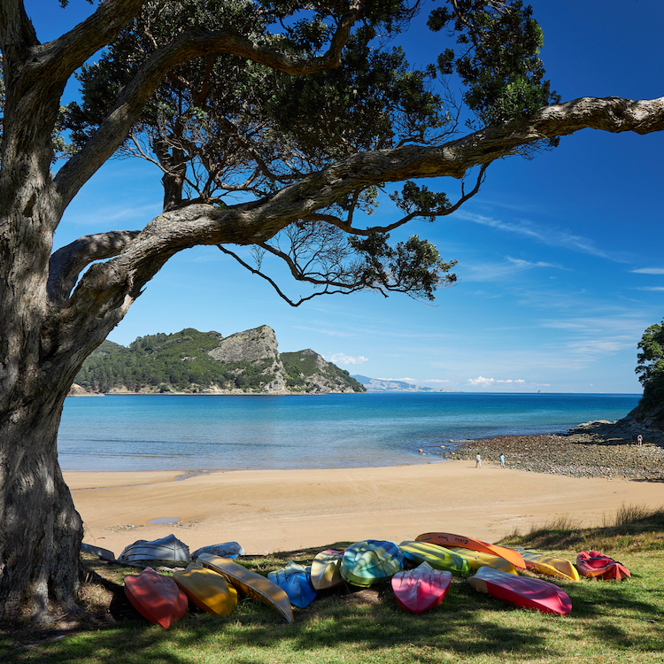 The pace is slower on Great Barrier Island – for locals and visitors.