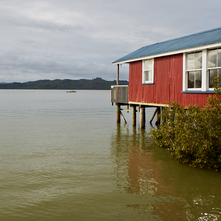 The famous Boatshed Cafe in Rāwene sits over the water of the Hokianga Harbour. 