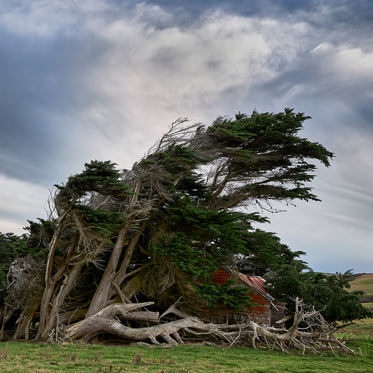 Catlins Slope Point INP