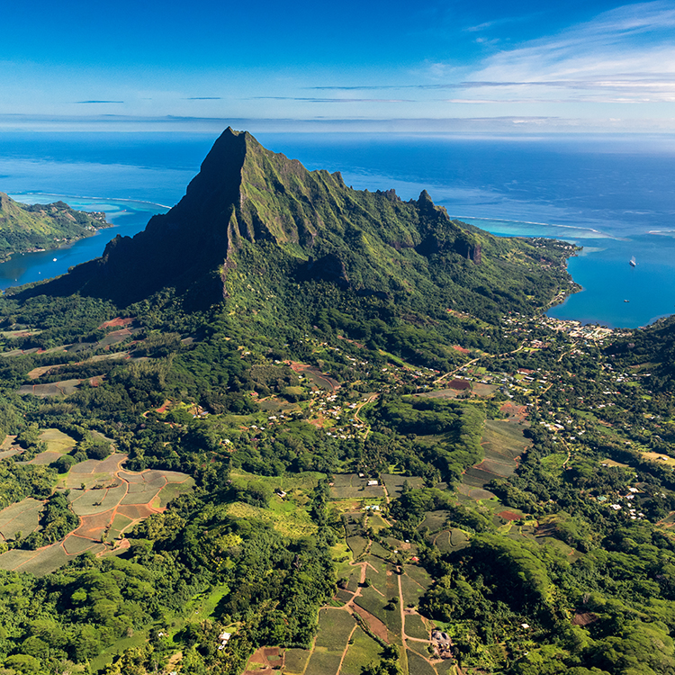 Tahiti Moorea INP 