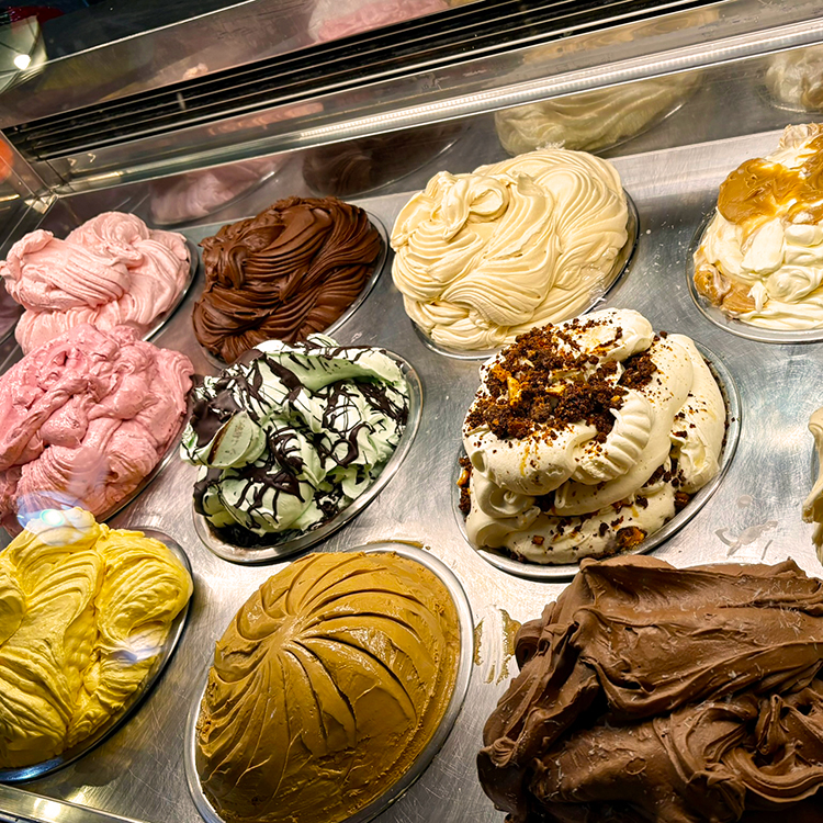 Chch food Rollickin Gelato