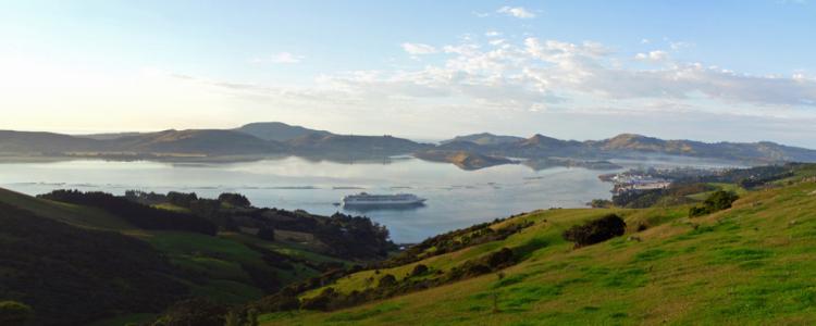 Port chalmers view