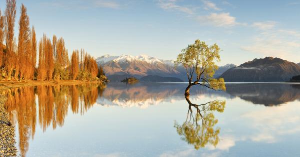 What to do in Queenstown and Wanaka | AA New Zealand