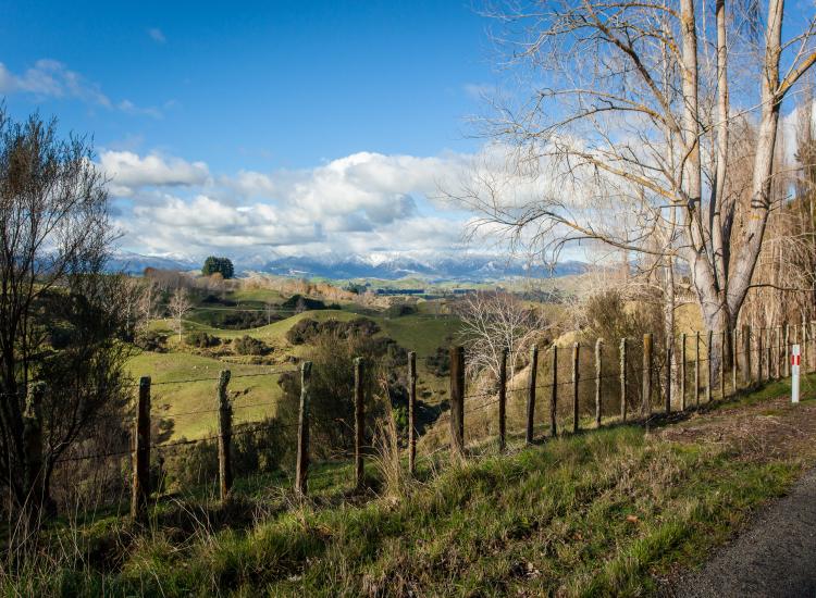 Āpiti Farmland