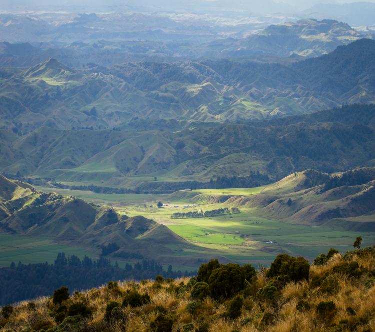 Hills, valleys and beautiful farmland in northern Manawatū