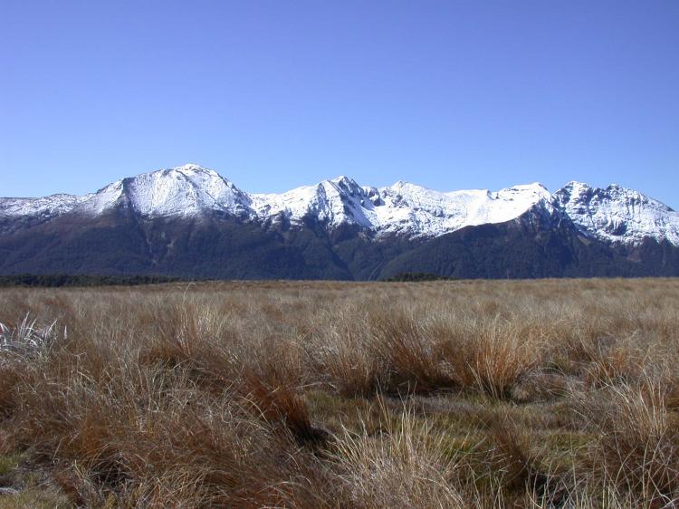 Mount Arthur, Kahurangi National Park