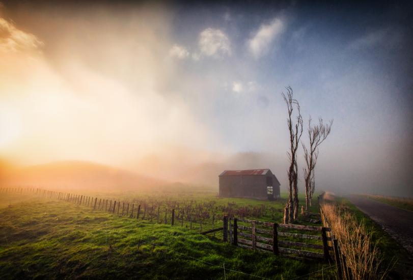 A misty morning near Woodville.