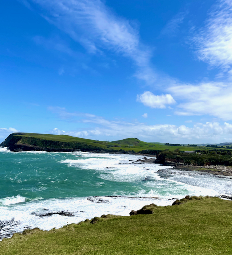 Curio Bay coast