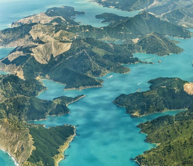 Discover the unspoilt wilderness of the Marlborough Sounds | AA New Zealand