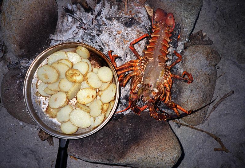 Cooking crayfish on Great Barrier