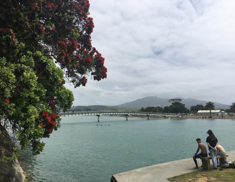 Raglan bridge