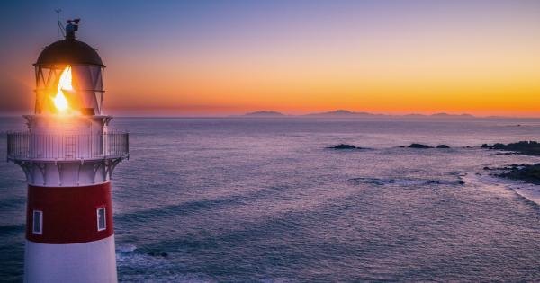 Cape Palliser: the wild southern tip of the North Island | AA New Zealand