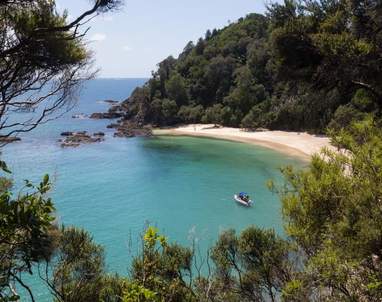 Whale Bay on the Tutukaka Coast