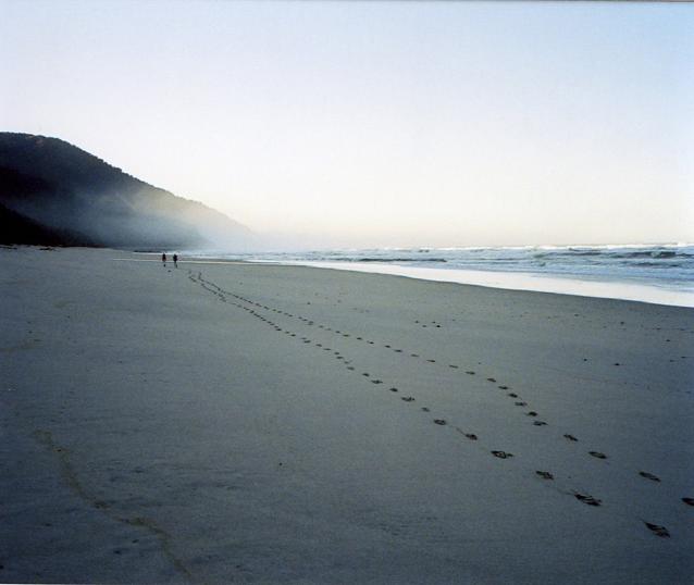 Heaphy beach, Kahurangi Marine Reserve